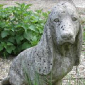 Profilbild von Waldi